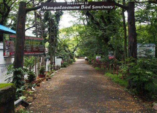 Mangalavanam Sanctuary - 14 KM from Stay_Lo
